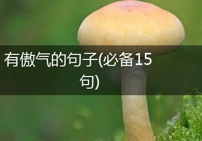 有傲气的句子(必备15句)