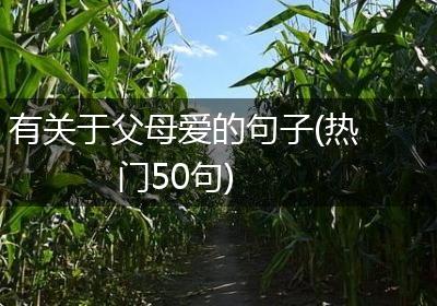 有关于父母爱的句子(热门50句)