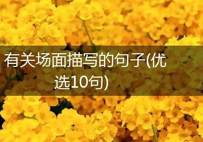 有关场面描写的句子(优选10句)
