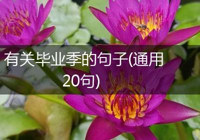 有关毕业季的句子(通用20句)
