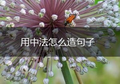 用中法怎么造句子