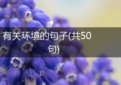 有关环境的句子(共50句)