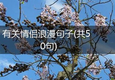 有关情侣浪漫句子(共50句)