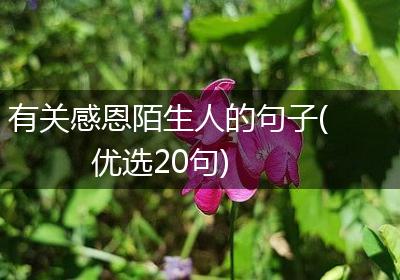 有关感恩陌生人的句子(优选20句)