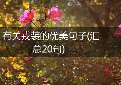 有关戎装的优美句子(汇总20句)