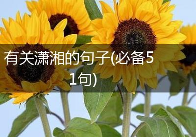 有关潇湘的句子(必备51句)