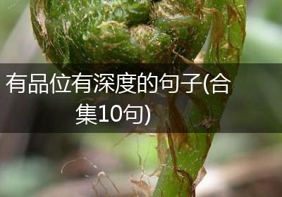 有品位有深度的句子(合集10句)