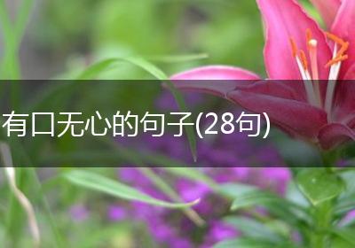 有口无心的句子(28句)