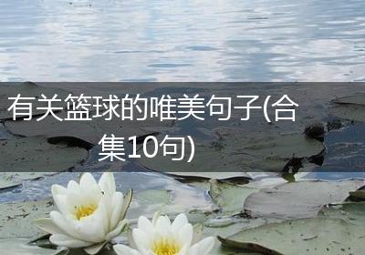 有关篮球的唯美句子(合集10句)