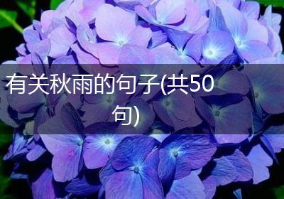 有关秋雨的句子(共50句)