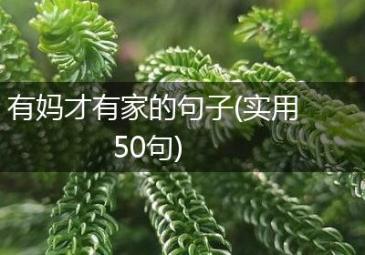 有妈才有家的句子(实用50句)
