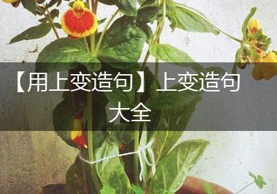 【用上变造句】上变造句大全