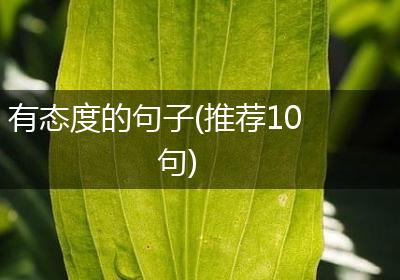 有态度的句子(推荐10句)
