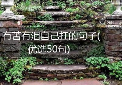 有苦有泪自己扛的句子(优选50句)