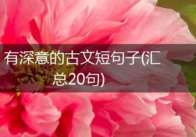 有深意的古文短句子(汇总20句)