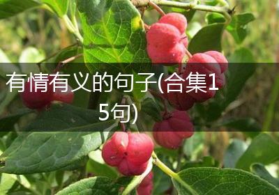 有情有义的句子(合集15句)