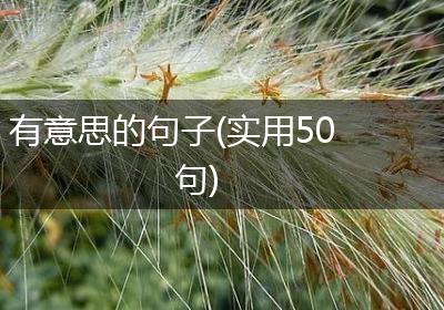有意思的句子(实用50句)