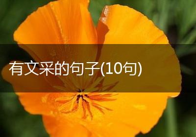 有文采的句子(10句)