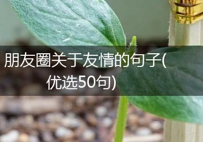 朋友圈关于友情的句子(优选50句)