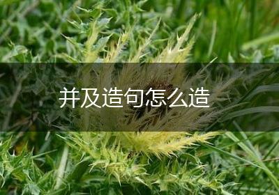 并及造句怎么造