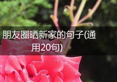 朋友圈晒新家的句子(通用20句)