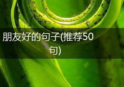 朋友好的句子(推荐50句)