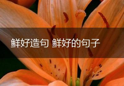 鲜好造句 鲜好的句子