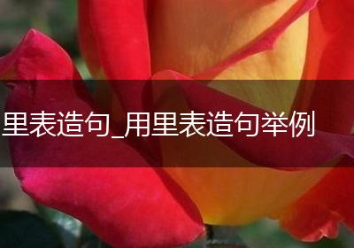 里表造句_用里表造句举例