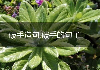 破手造句,破手的句子