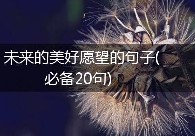 未来的美好愿望的句子(必备20句)