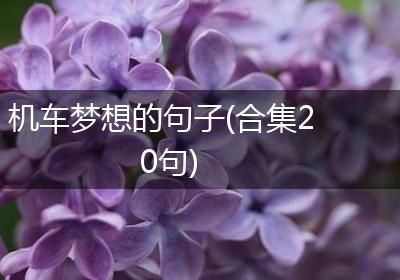 机车梦想的句子(合集20句)