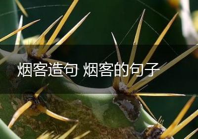 烟客造句 烟客的句子