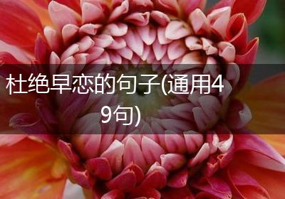 杜绝早恋的句子(通用49句)
