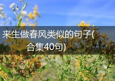 来生做春风类似的句子(合集40句)