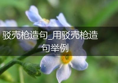 驳壳枪造句_用驳壳枪造句举例