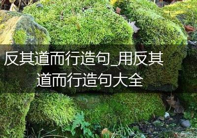 反其道而行造句_用反其道而行造句大全