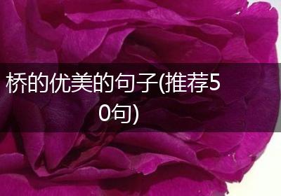 桥的优美的句子(推荐50句)