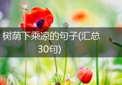 树荫下乘凉的句子(汇总30句)