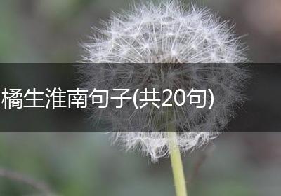 橘生淮南句子(共20句)