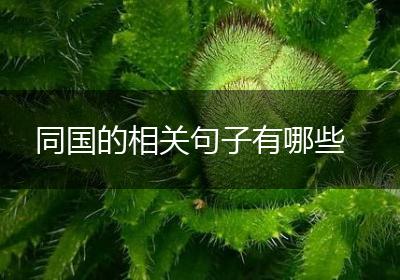 同国的相关句子有哪些
