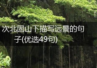 次北固山下描写远景的句子(优选49句)