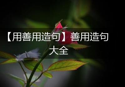 【用善用造句】善用造句大全