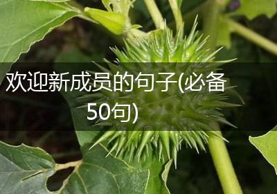 欢迎新成员的句子(必备50句)