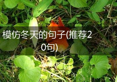 模仿冬天的句子(推荐20句)