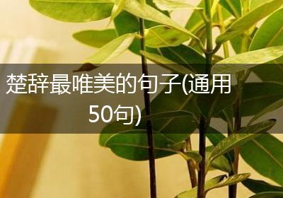 楚辞最唯美的句子(通用50句)