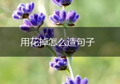 用花掉怎么造句子