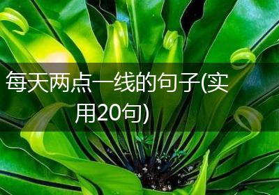 每天两点一线的句子(实用20句)