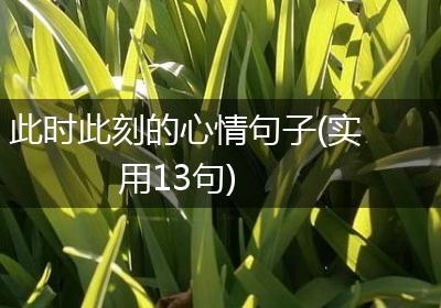 此时此刻的心情句子(实用13句)