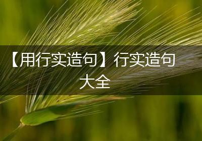 【用行实造句】行实造句大全
