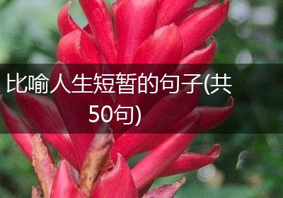 比喻人生短暂的句子(共50句)